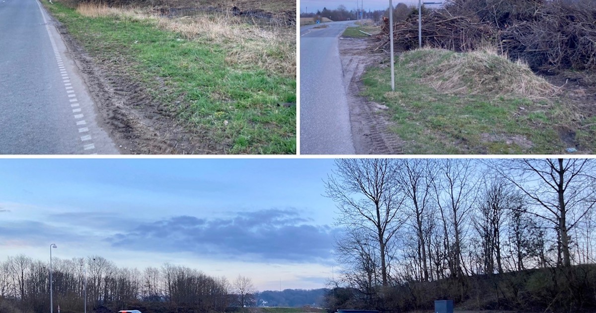 Grøn forsyning til en grøn bydel - Ny Rosborg